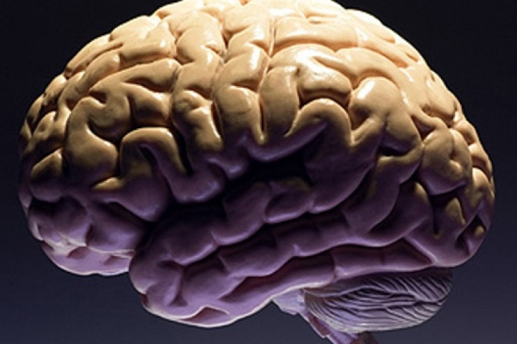 Az agyműködés feltérképezését célzó programot hirdetett meg az amerikai elnök