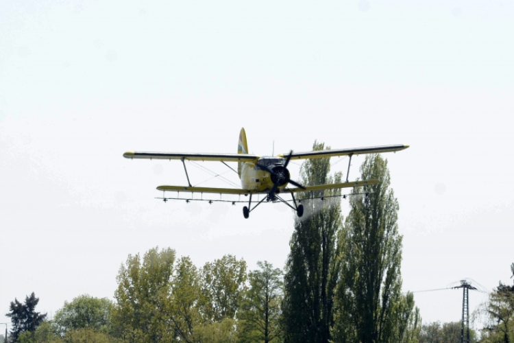 Kezdődik a szúnyogirtás a Balatonnál