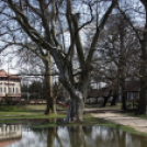 Sárvár a vizek városa, avagy visszaköszön a múlt?