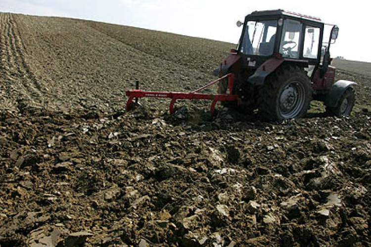 A termőföld 11 százalékkal drágult tavaly