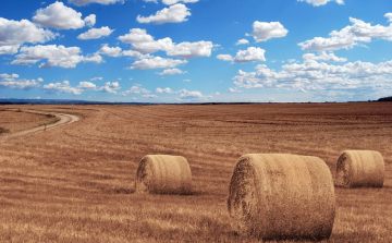 Több előterjesztéssel is könnyítette az Agrárminisztérium a gazdák munkáját