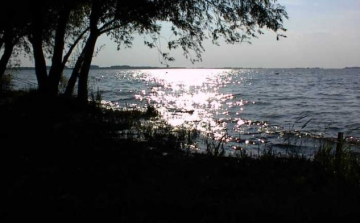 Tisztítják a Tisza-tavat