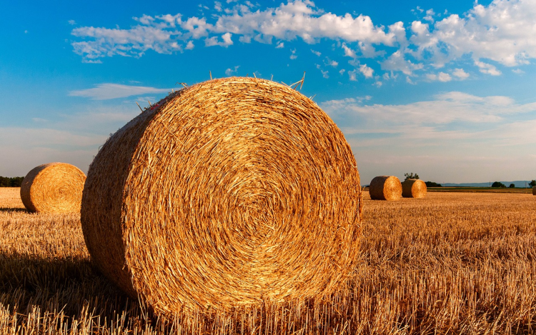 Korszakváltás küszöbéhez ért a magyar mezőgazdaság
