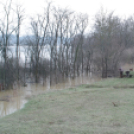 Árad a Rába Sárváron