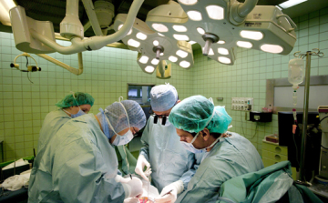 Újabb remény a májátültetésre váróknak