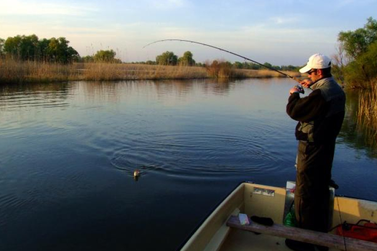 Horogra akadva: háromszázezren várják a fogást 