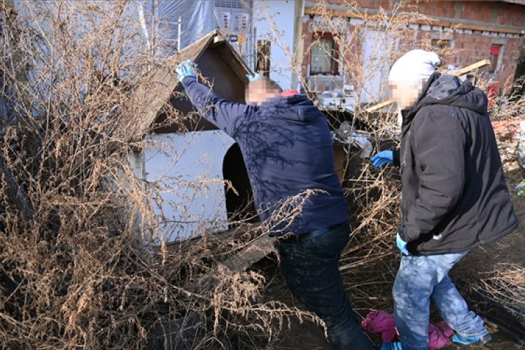 Kannabisztermesztőt fogtak el a rendőrök Bagon 