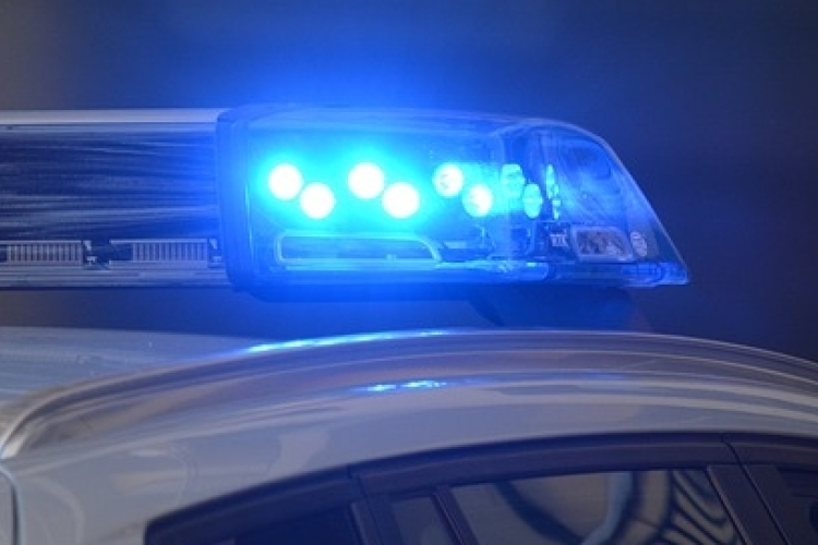 Mintegy 700 kilogramm kokaint foglaltak le Hollandiában