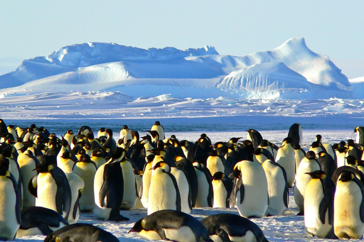 Az eddig véltnél gyorsabban olvadhat az egyik hatalmas antarktiszi gleccser