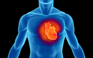 Szívrohamot okozhat a tesztoszteron-fokozók? 