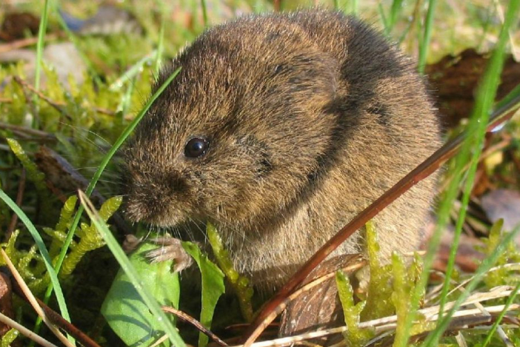 Külügy: nincs járványveszély Horvátországban