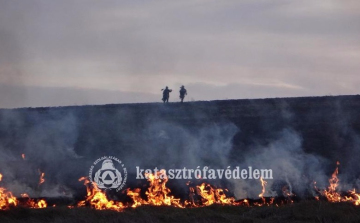 Február közepe óta mintegy 2000 szabadtéri tűzhöz riasztották a tűzoltókat