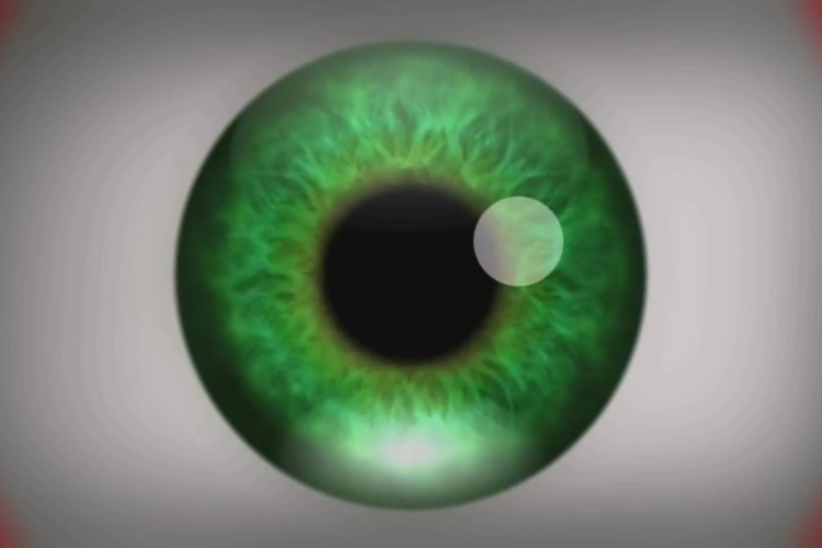 Videó, ami mindenkinek hallucinációt okoz